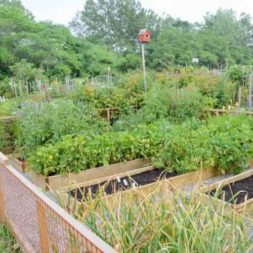 Environmentally Friendly Neighborhoods